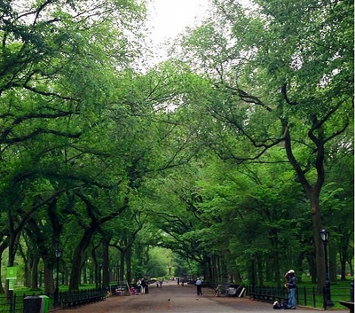 central_park Central Park