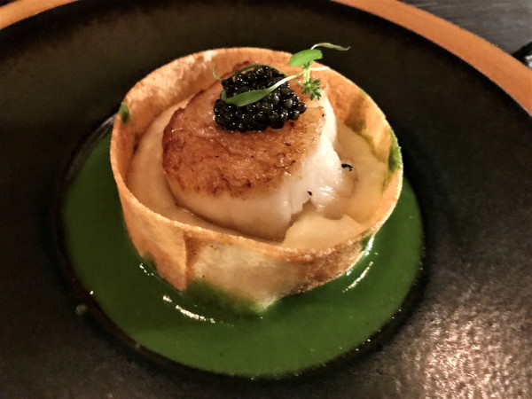 Scallops-final-Credit-Meryl-Pearlstein