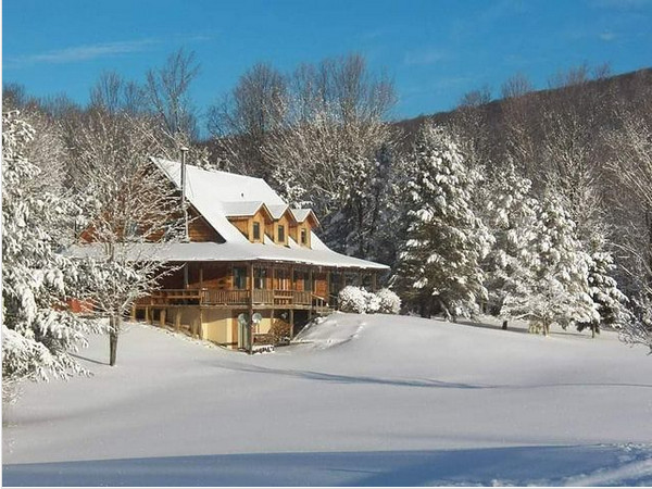 mountainforsefarm-600