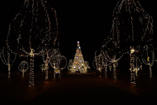 westchester-lights-600