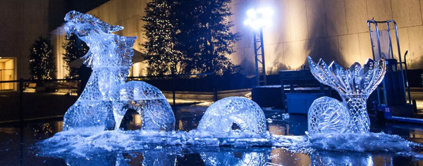 lunar-ice-credit-ryan-muir052_image-test