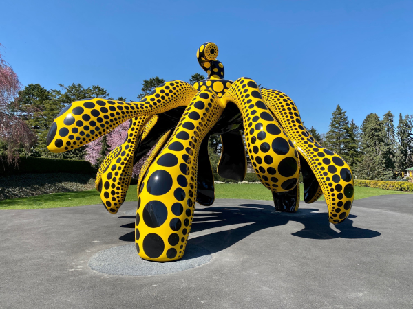 Kusama pumpkins (c) Meryl Pearlstein-600