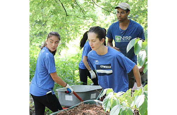 ny-restoration-project-600