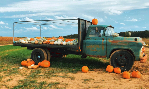 cornwith-farmstand-600