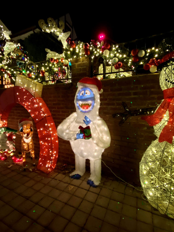 Dyker Heights 3 credit Meryl Pearlstein-600