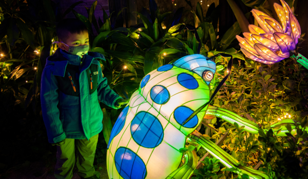 z00_Julie_Larsen_Maher-600