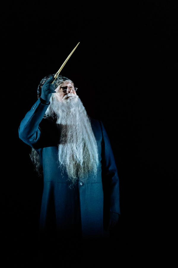 Harry Potter and the Cursed Child Dumbledore - Photo By Manuel Harlan-600